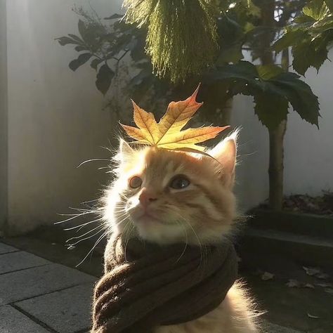 Tiệm Bánh Nhỏ Và Tổng Tài Bị Bỏ Rơi